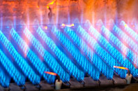 Caerhendy gas fired boilers